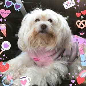 Meet your Posher, Edna